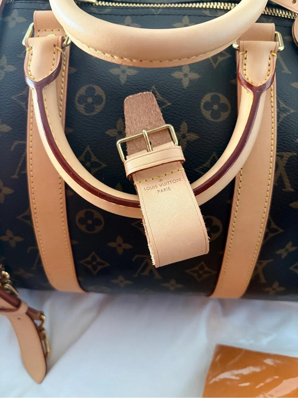Louis Vuitton classic louis